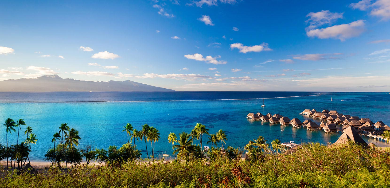 French Polynesia  by If Only 